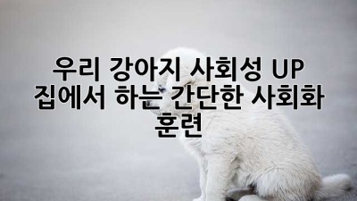 우리 강아지, 사회성 UP! 집에서 하는 간단한 사회화 훈련